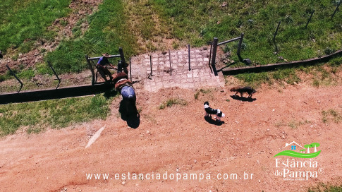 VAI ATE MANGUEIRA OVELHAS.00_00_10_15.Quadro001_3a74a1407b1851e49d8b4217e7d8c7bb1ee420c5.jpg